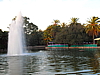 CIMG7730.JPG