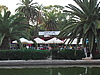 CIMG7731.JPG